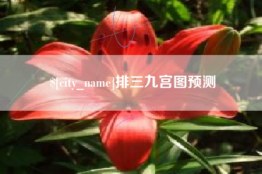 神木排三九宫图预测