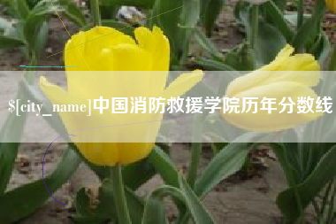 神木中国消防救援学院历年分数线