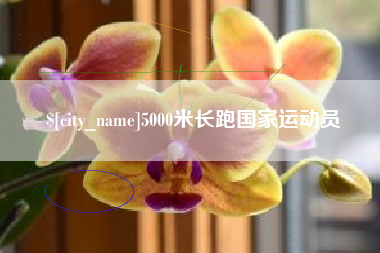 神木5000米长跑国家运动员