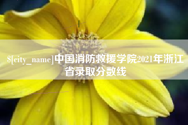 神木中国消防救援学院2021年浙江省录取分数线