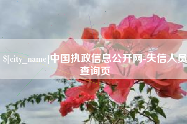 神木中国执政信息公开网-失信人员查询页
