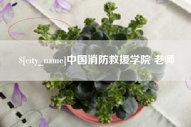 神木中国消防救援学院 老师