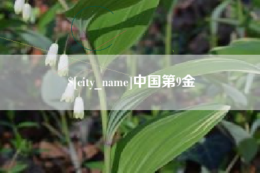 神木中国第9金