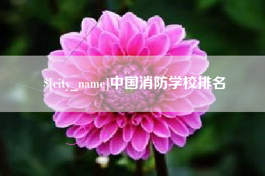 神木中国消防学校排名