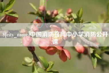 神木中国消防官网中小学消防公开课