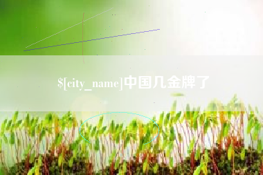 神木中国几金牌了