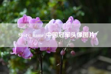 神木中国冠军头像图片
