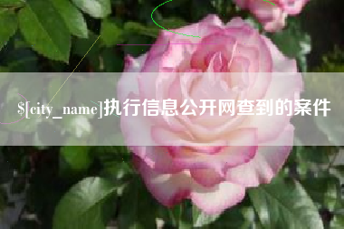 神木执行信息公开网查到的案件