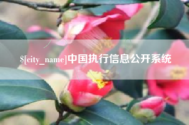 神木中国执行信息公开系统