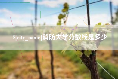 神木消防大学分数线是多少