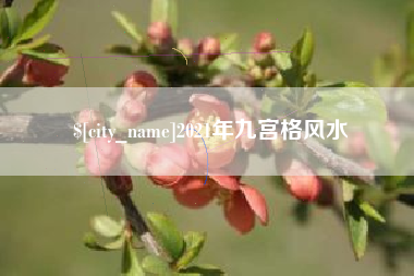 神木2021年九宫格风水