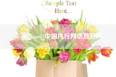 神木中国执行网信息官网