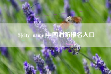 神木中国消防报名入口