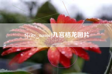 神木九宫格龙图片