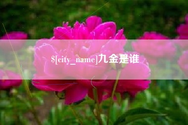 神木九金是谁