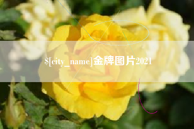 神木金牌图片2021