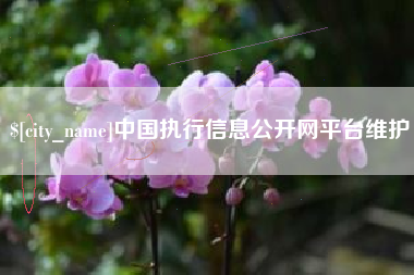 神木中国执行信息公开网平台维护