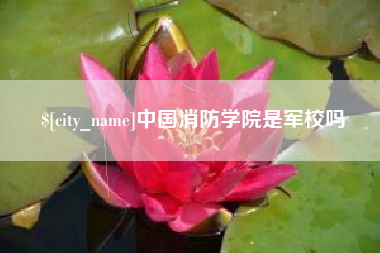 神木中国消防学院是军校吗