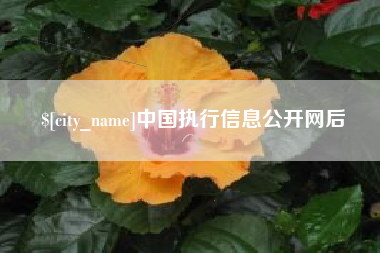 神木中国执行信息公开网后