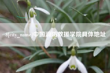 神木中国消防救援学院具体地址
