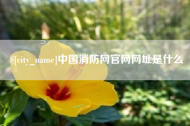神木中国消防网官网网址是什么