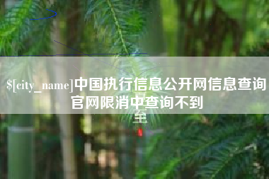神木中国执行信息公开网信息查询官网限消中查询不到