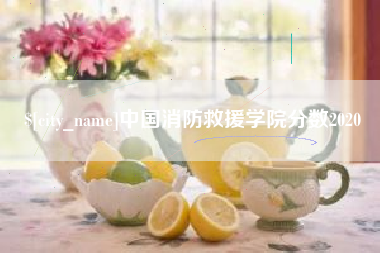 神木中国消防救援学院分数2020
