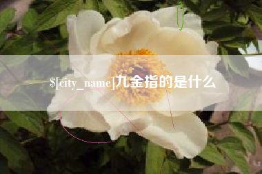 神木九金指的是什么
