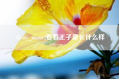 神木看看王子豪长什么样