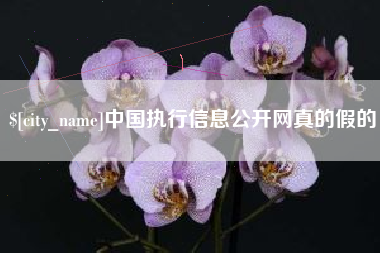 神木中国执行信息公开网真的假的