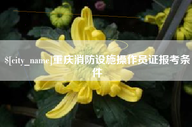 神木重庆消防设施操作员证报考条件