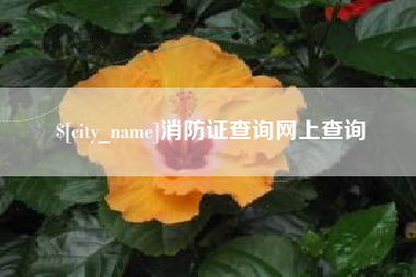 神木消防证查询网上查询