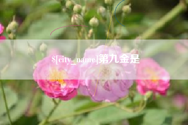 神木第九金是