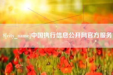 神木中国执行信息公开网官方服务