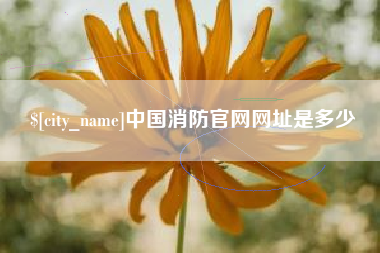 神木中国消防官网网址是多少
