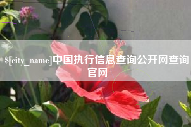 神木中国执行信息查询公开网查询官网