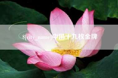 神木中国十九枚金牌