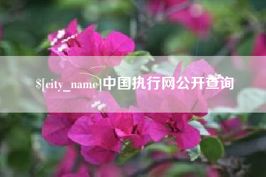 神木中国执行网公开查询