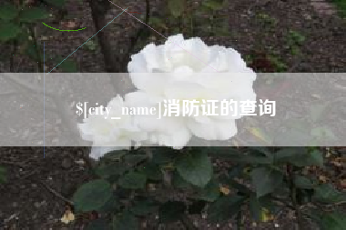 神木消防证的查询