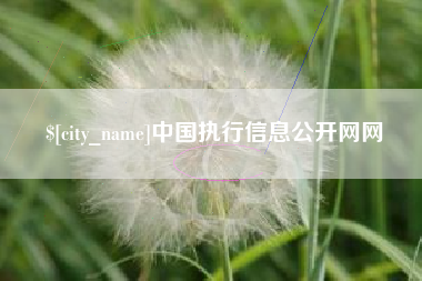 神木中国执行信息公开网网