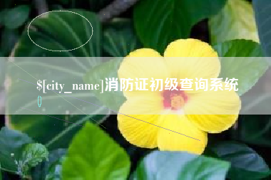 神木消防证初级查询系统