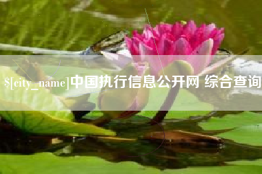 神木中国执行信息公开网 综合查询