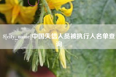神木中国失信人员被执行人名单查询
