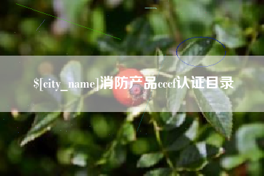 神木消防产品cccf认证目录