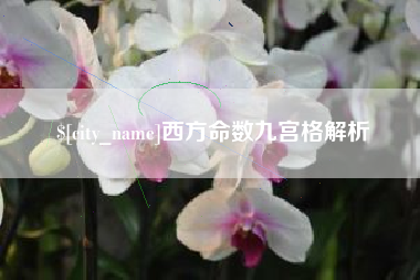 神木西方命数九宫格解析