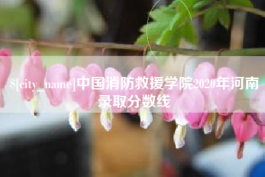 神木中国消防救援学院2020年河南录取分数线