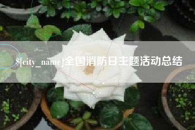 神木全国消防日主题活动总结