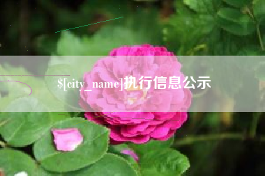 神木执行信息公示