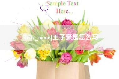 神木王子豪是怎么写