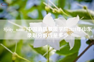 神木中国消防救援学院2021年山东录取分数线是多少